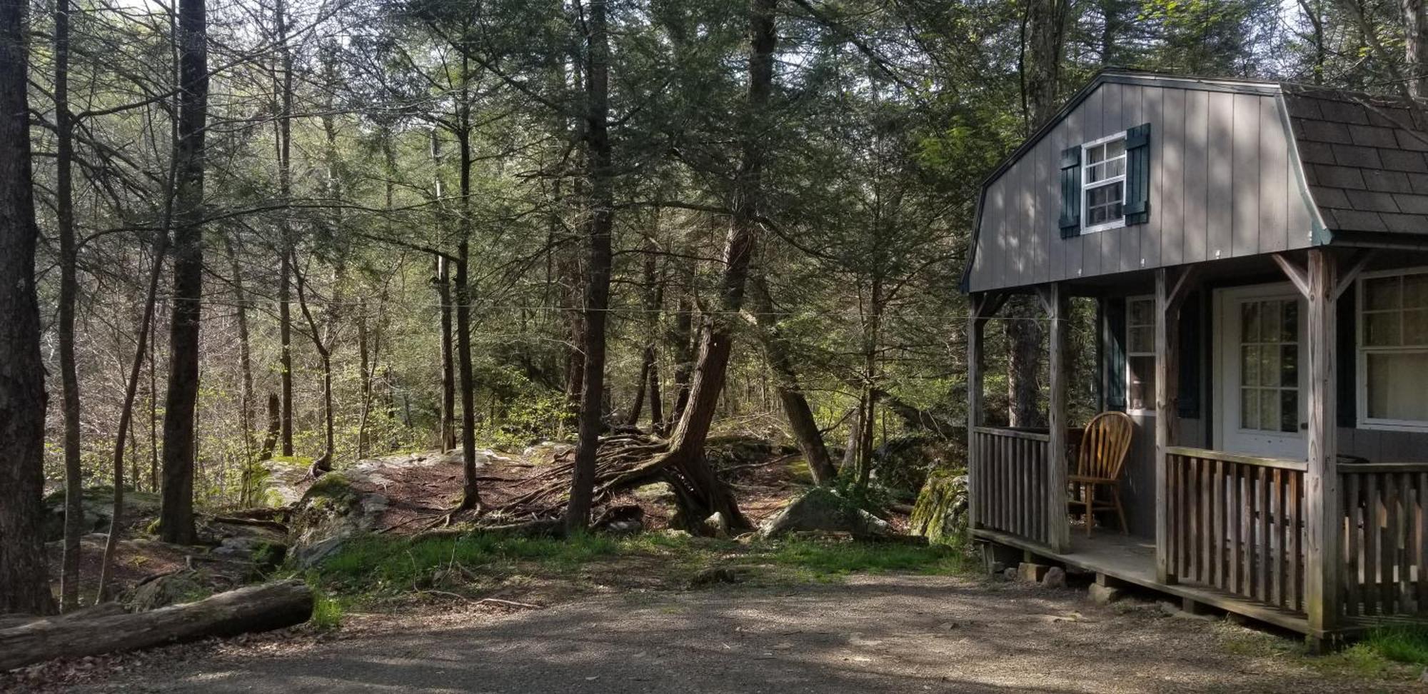 Abrams Creek Campground Mount Storm Exteriör bild