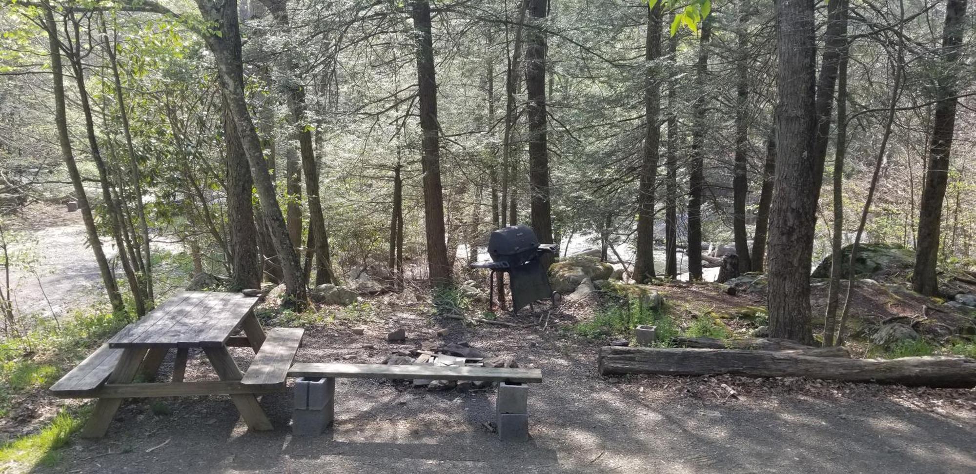 Abrams Creek Campground Mount Storm Exteriör bild