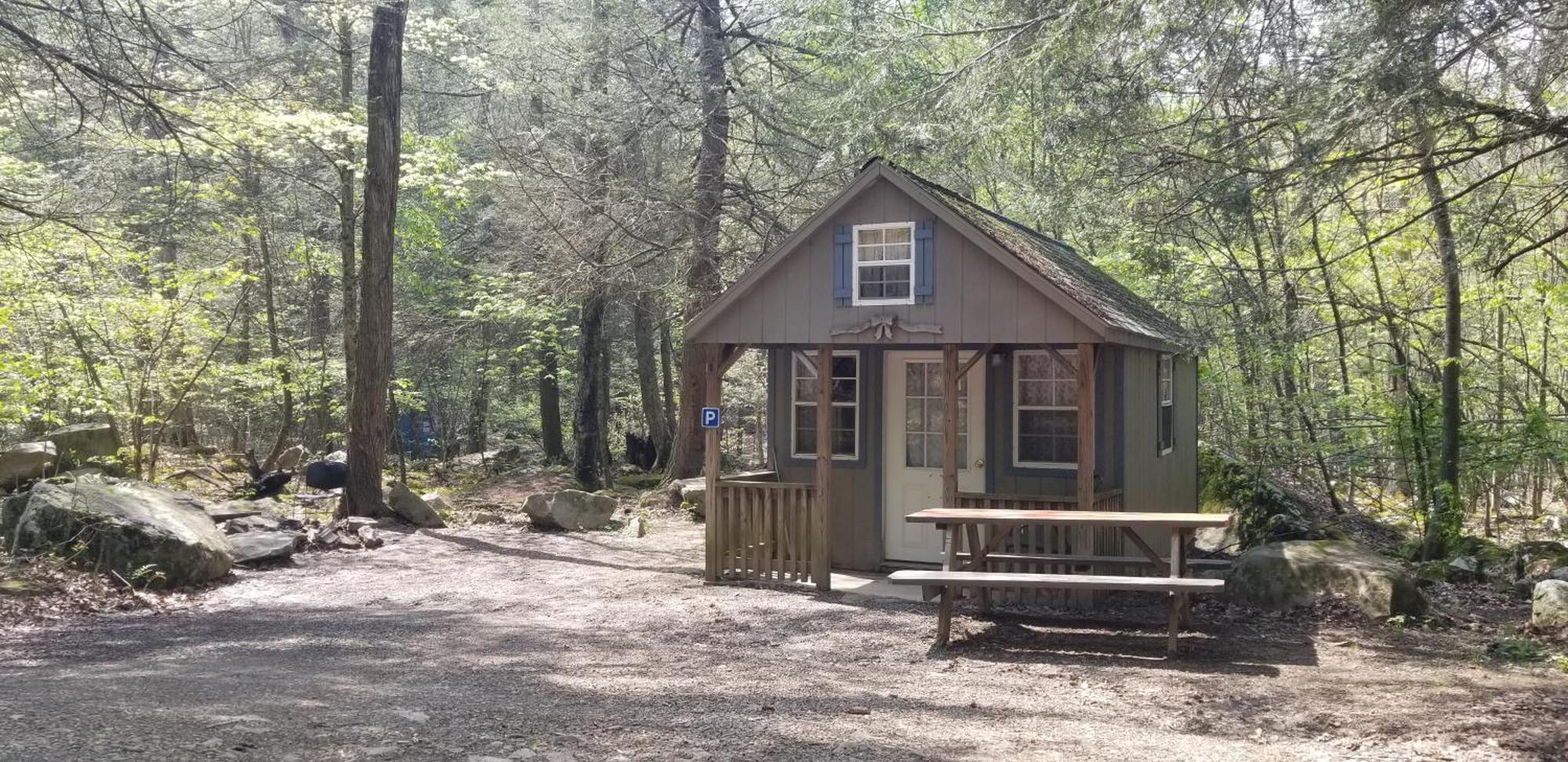 Abrams Creek Campground Mount Storm Exteriör bild