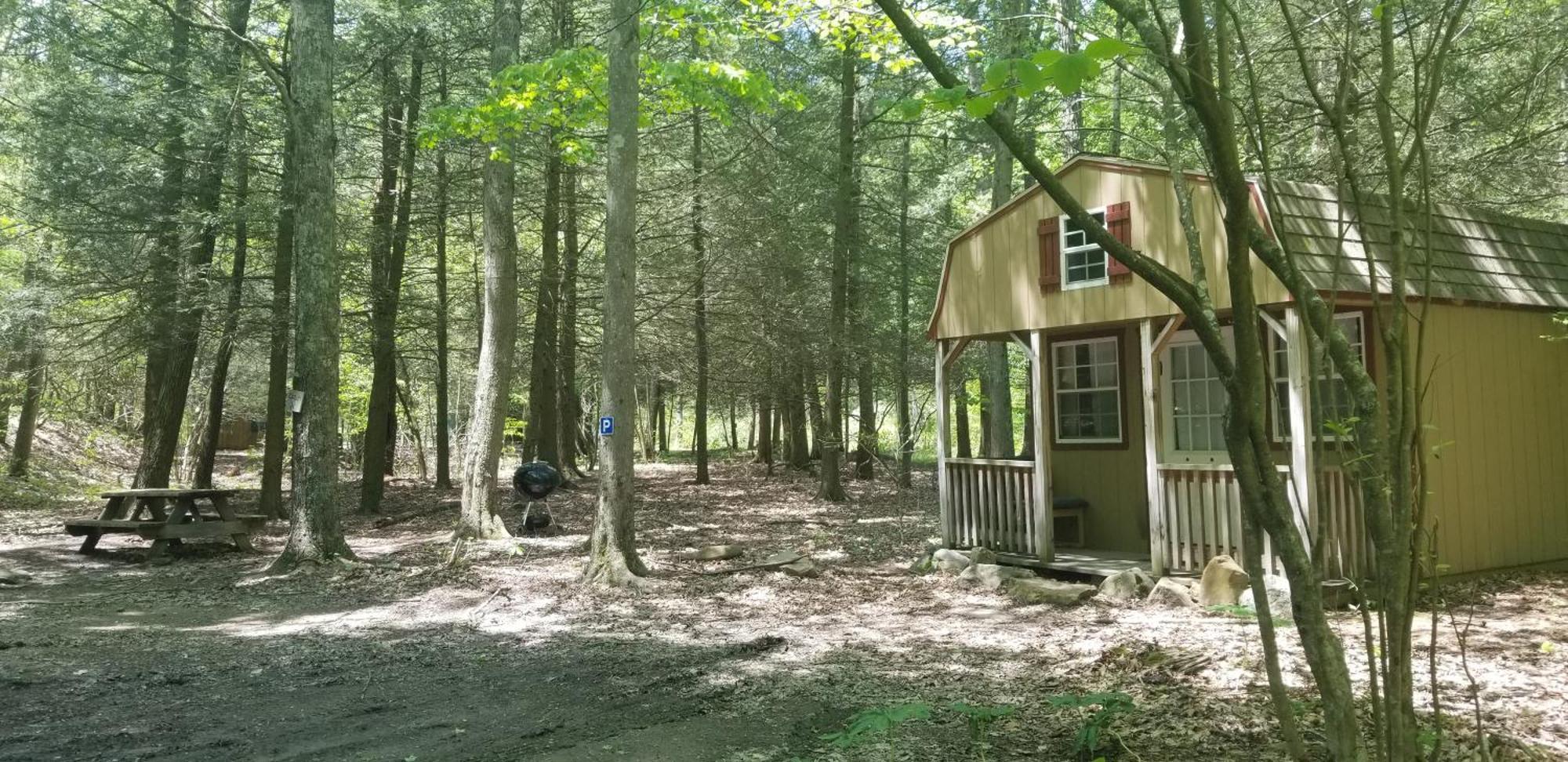 Abrams Creek Campground Mount Storm Exteriör bild