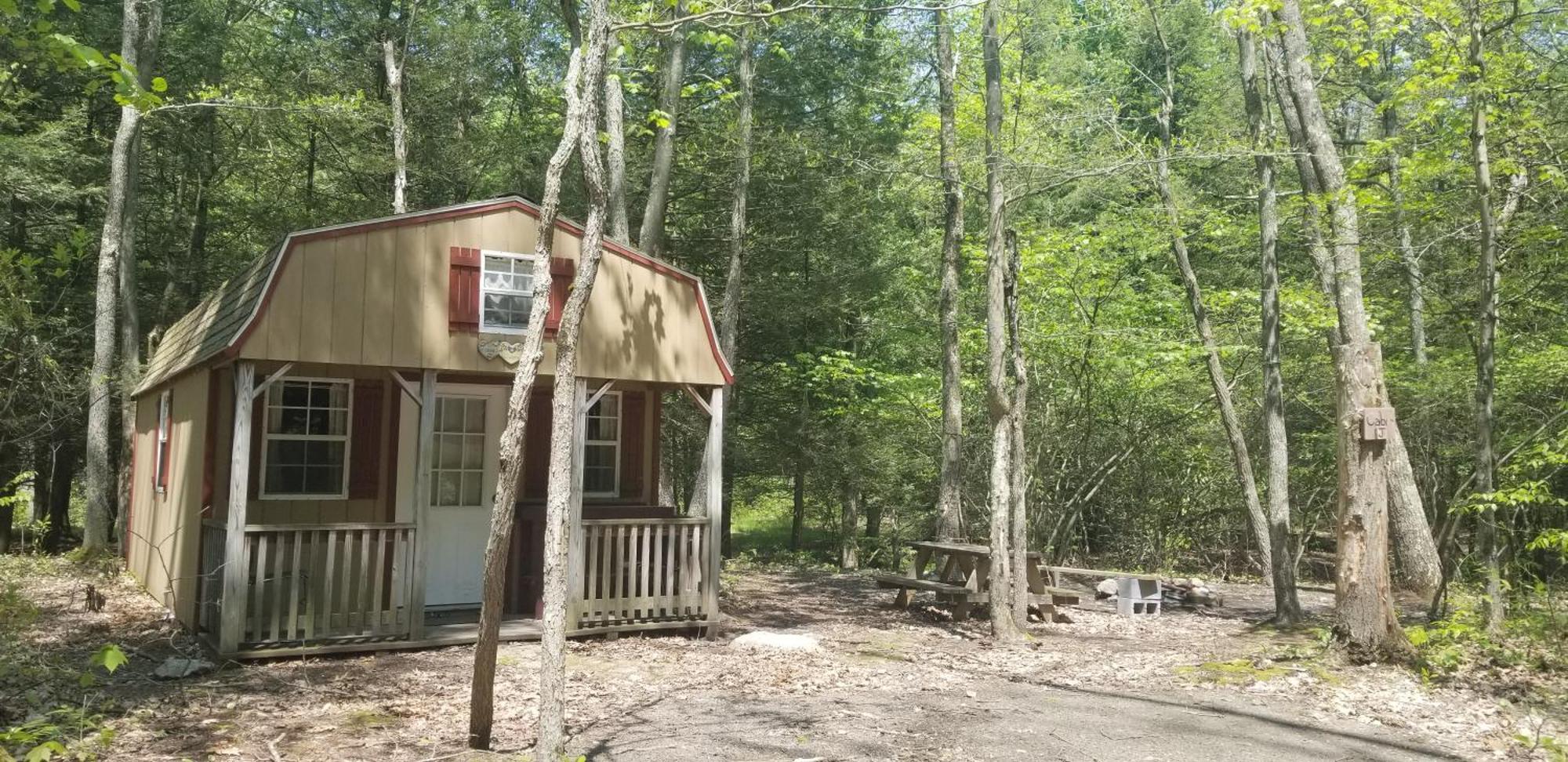 Abrams Creek Campground Mount Storm Exteriör bild