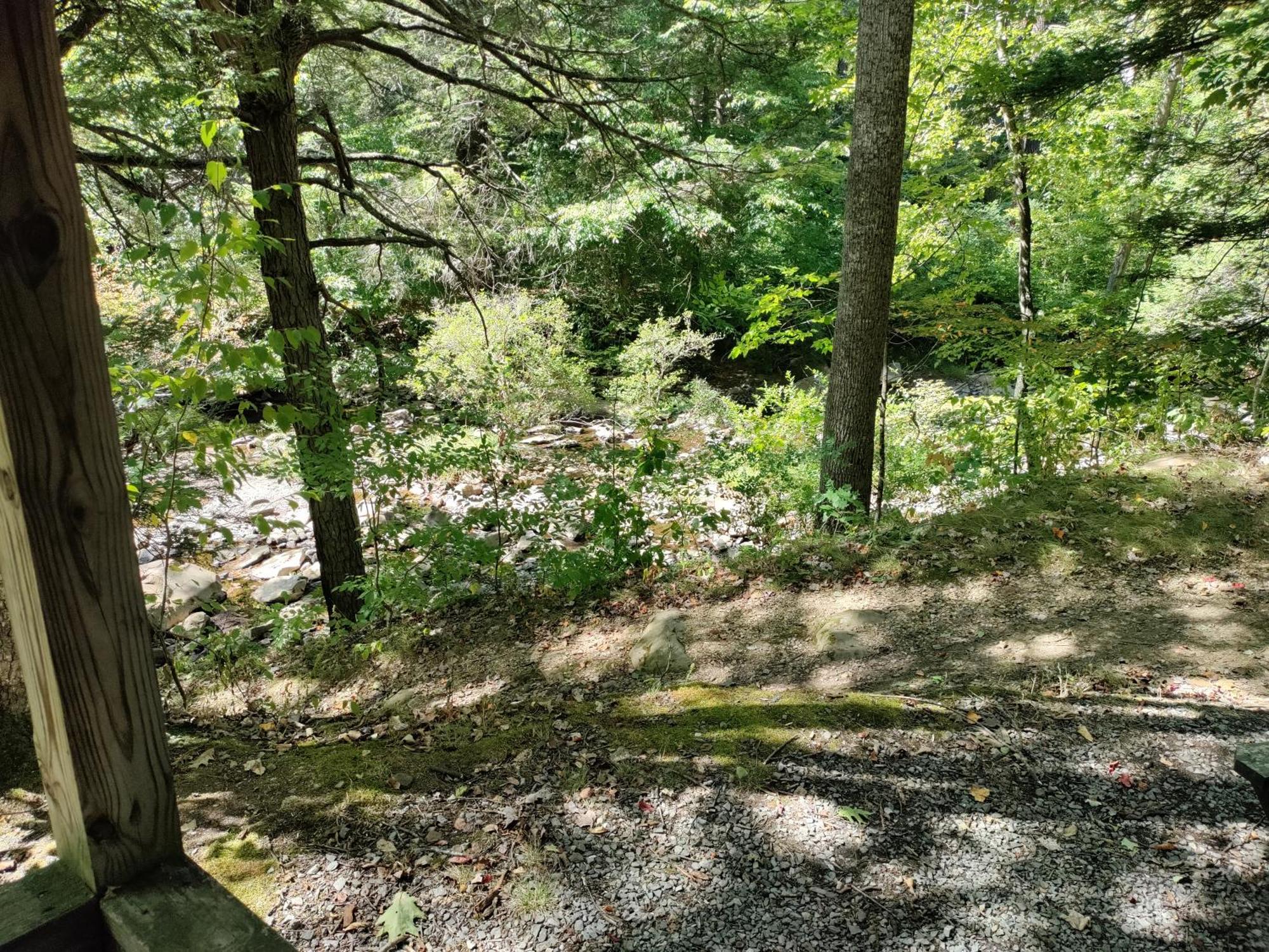 Abrams Creek Campground Mount Storm Exteriör bild
