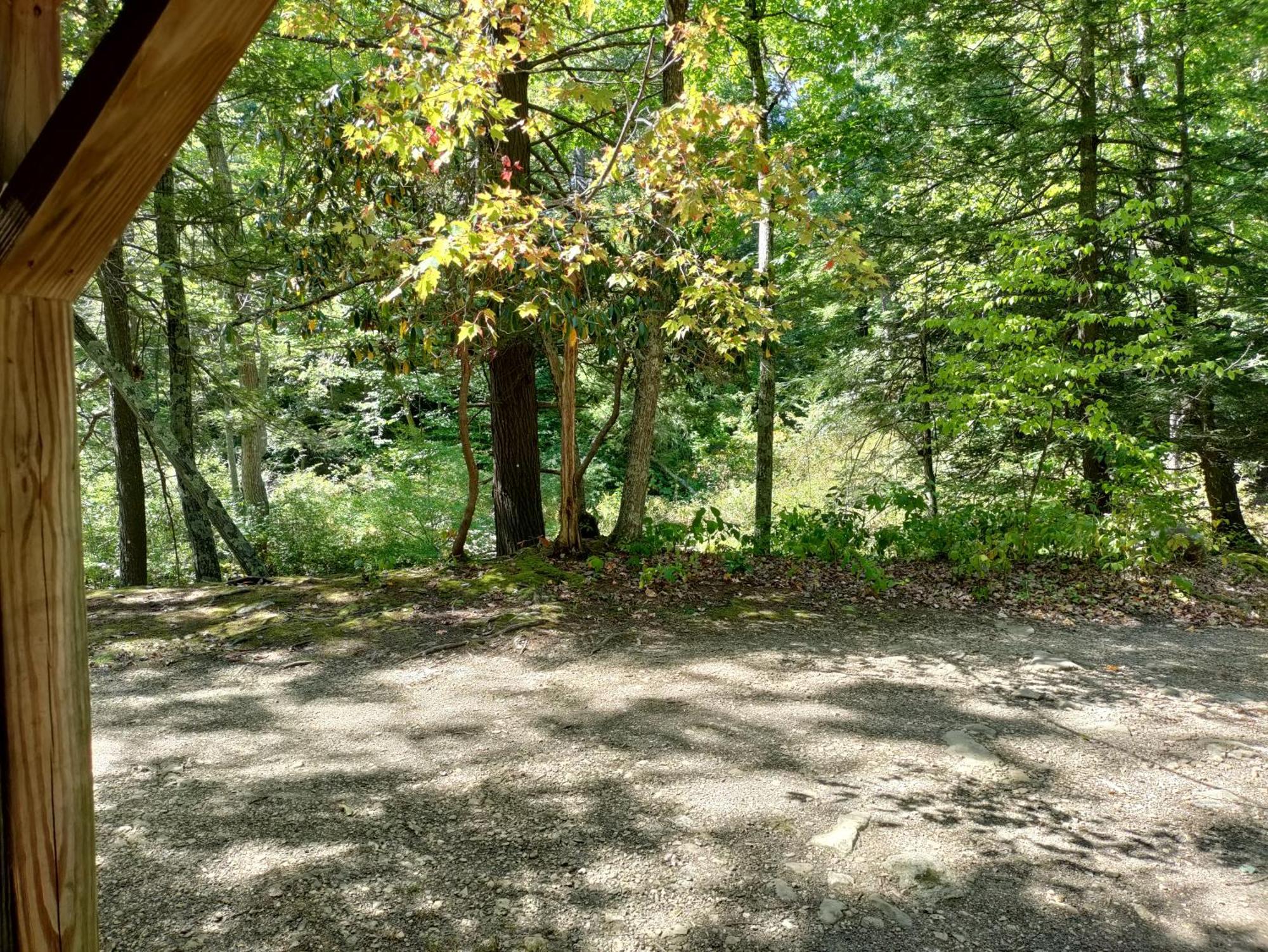 Abrams Creek Campground Mount Storm Exteriör bild