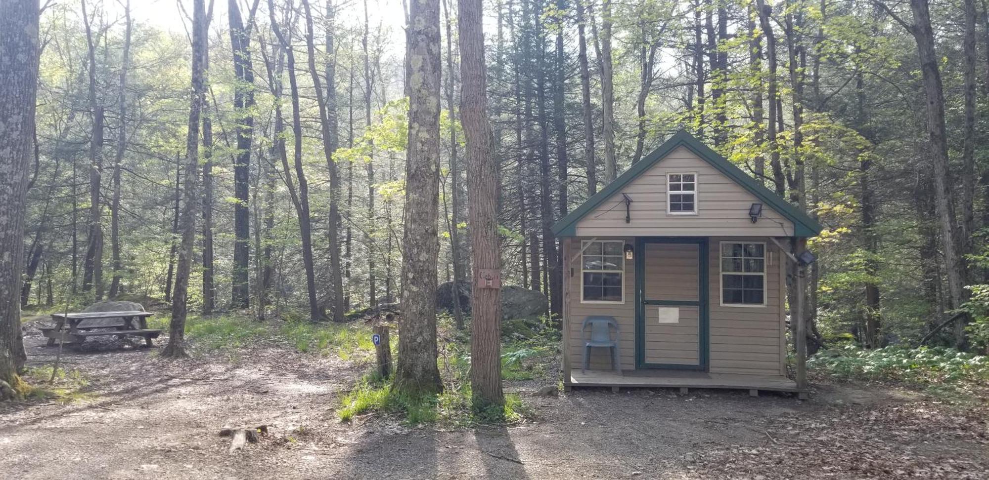 Abrams Creek Campground Mount Storm Exteriör bild