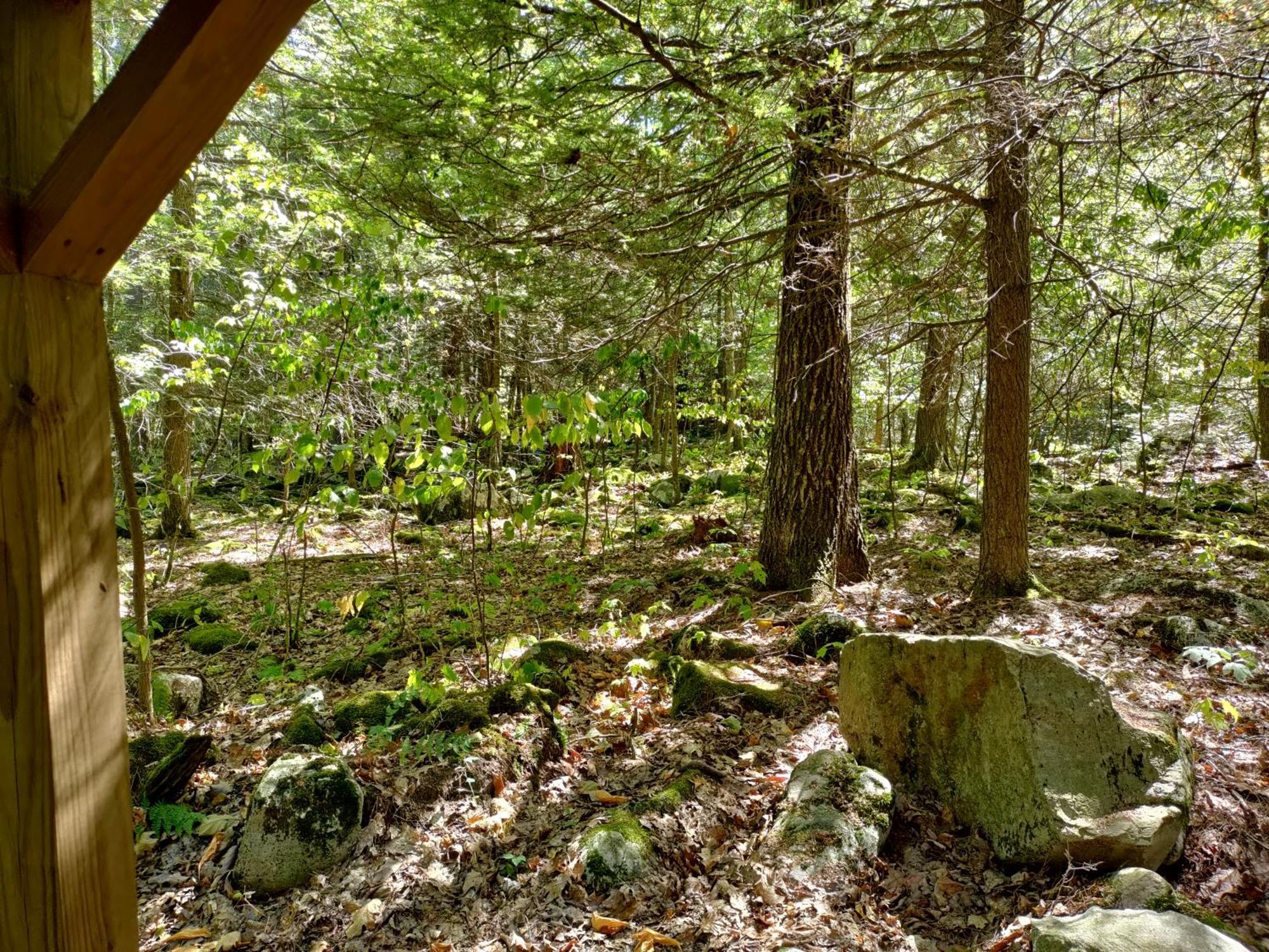 Abrams Creek Campground Mount Storm Exteriör bild