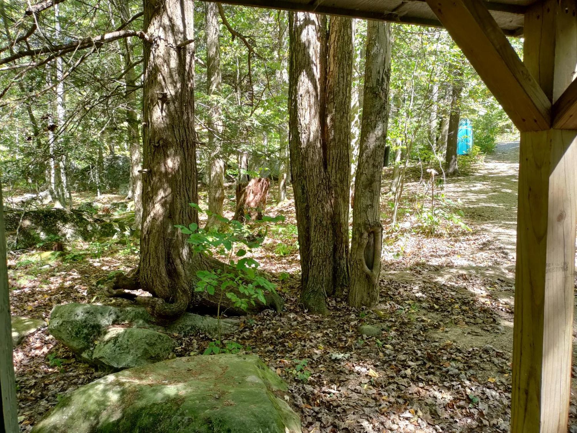 Abrams Creek Campground Mount Storm Exteriör bild
